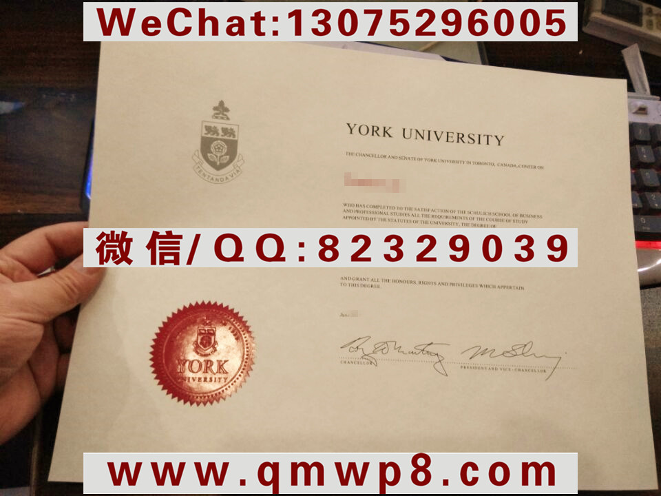 加拿大约克大学毕业证|Degree of York University