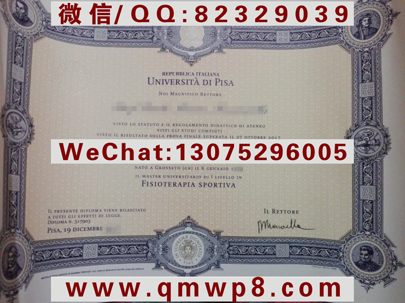 比萨大学毕业证|制作意大利比萨大学毕业证书