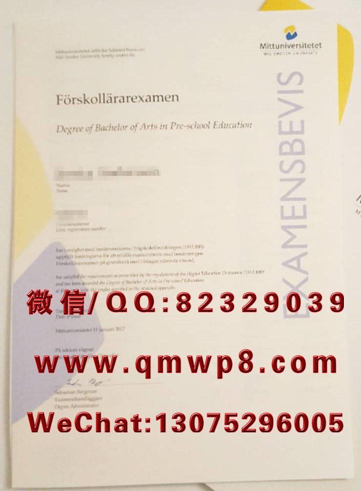 瑞典中部大学毕业证学历文凭学位证书案例实拍