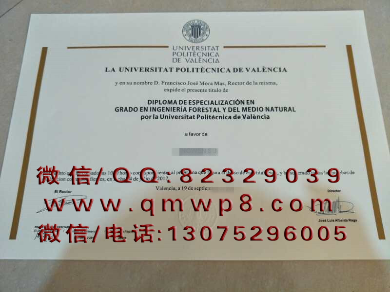 瓦伦西亚理工大学毕业证制作案例|UPV Degree